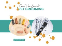 GroomPaws