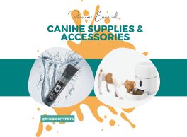 Canine Supplies & Accessories