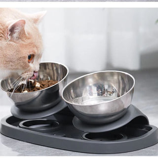 Raised Stainless Steel Pet Food Bowl