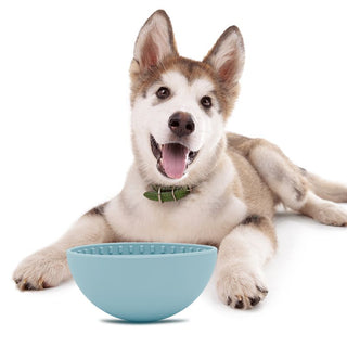 Slow Feeder Dog Lick Bowl