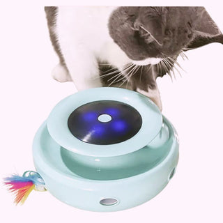 2-in-1 ORSDA Interactive Cat Toy