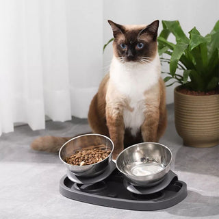 Raised Stainless Steel Pet Food Bowl